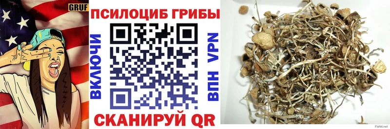 купить закладку  Болотное  Галлюциногенные грибы MAGIC MUSHROOMS 