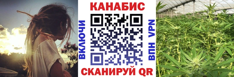 Конопля MAZAR  сколько стоит  Болотное 